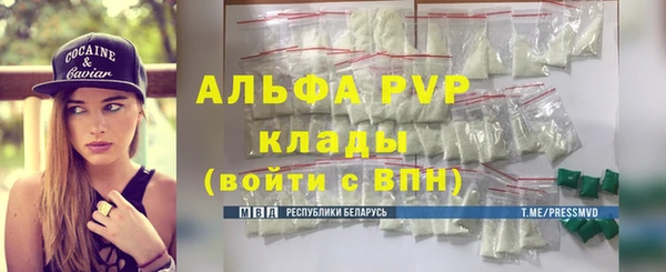 шишки Богородицк
