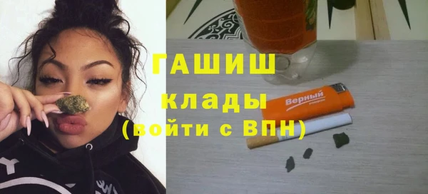 шишки Богородицк