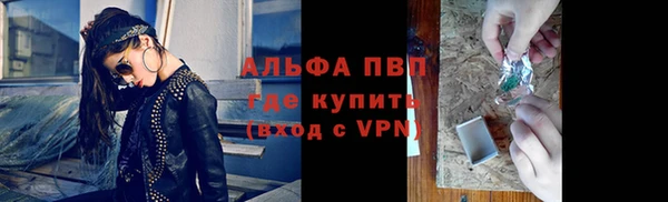 шишки Богородицк