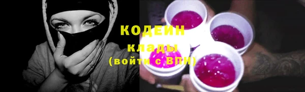 шишки Богородицк