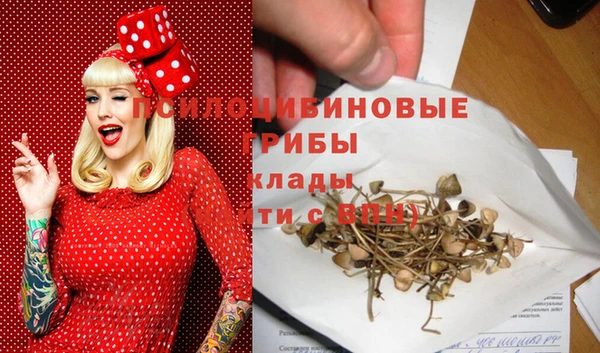 марки lsd Богданович