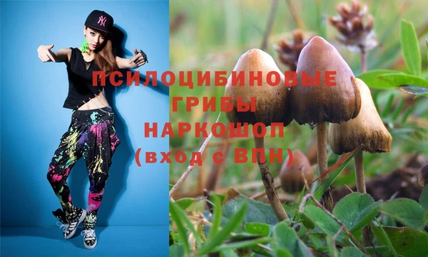 шишки Богородицк