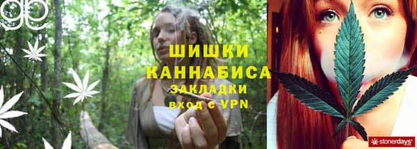 шишки Богородицк