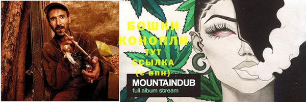 шишки Богородицк