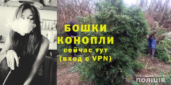 шишки Богородицк