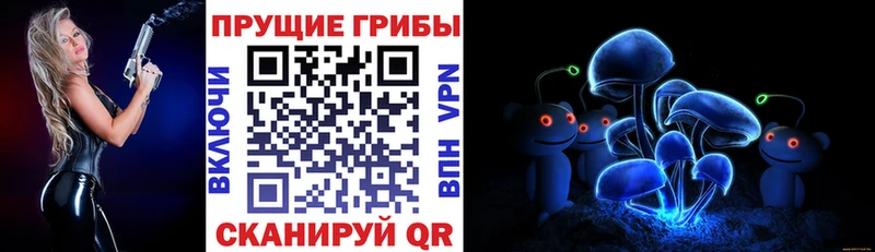 Галлюциногенные грибы мицелий Купить закладки Назрань